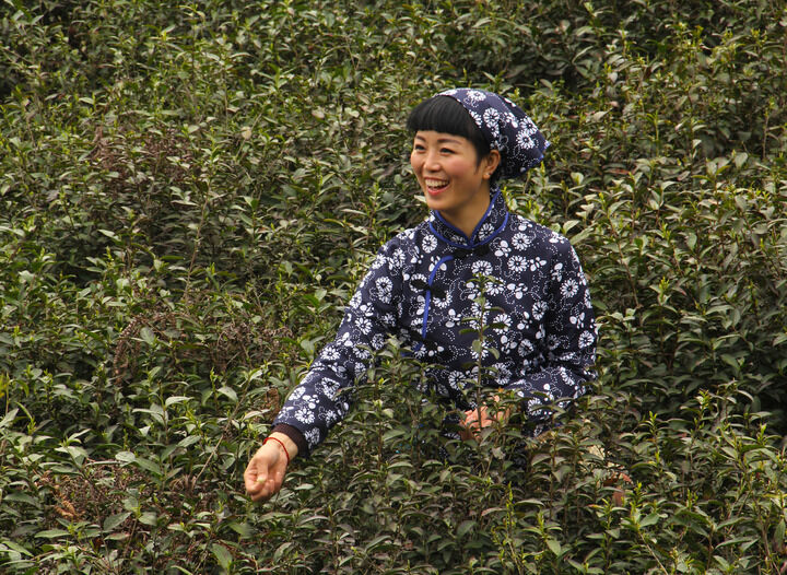 香烟与丝绒 166网主播